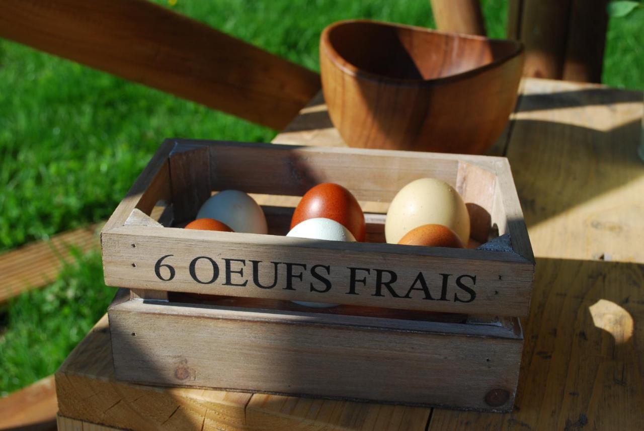 Swallows Oast Glamping Sedlescombe Ngoại thất bức ảnh